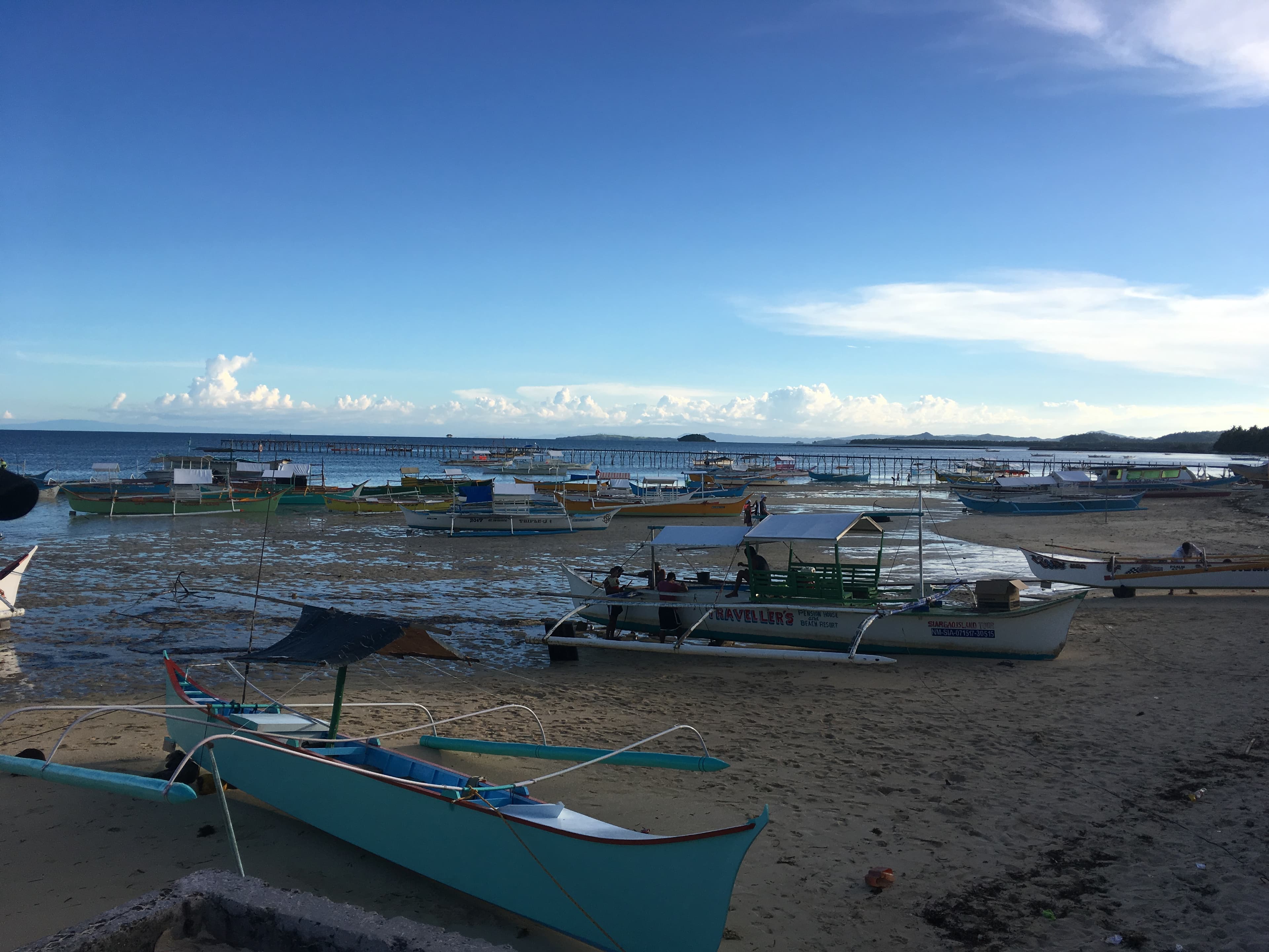 Coconut palms and turquoise lagoon in Siargao, General Luna