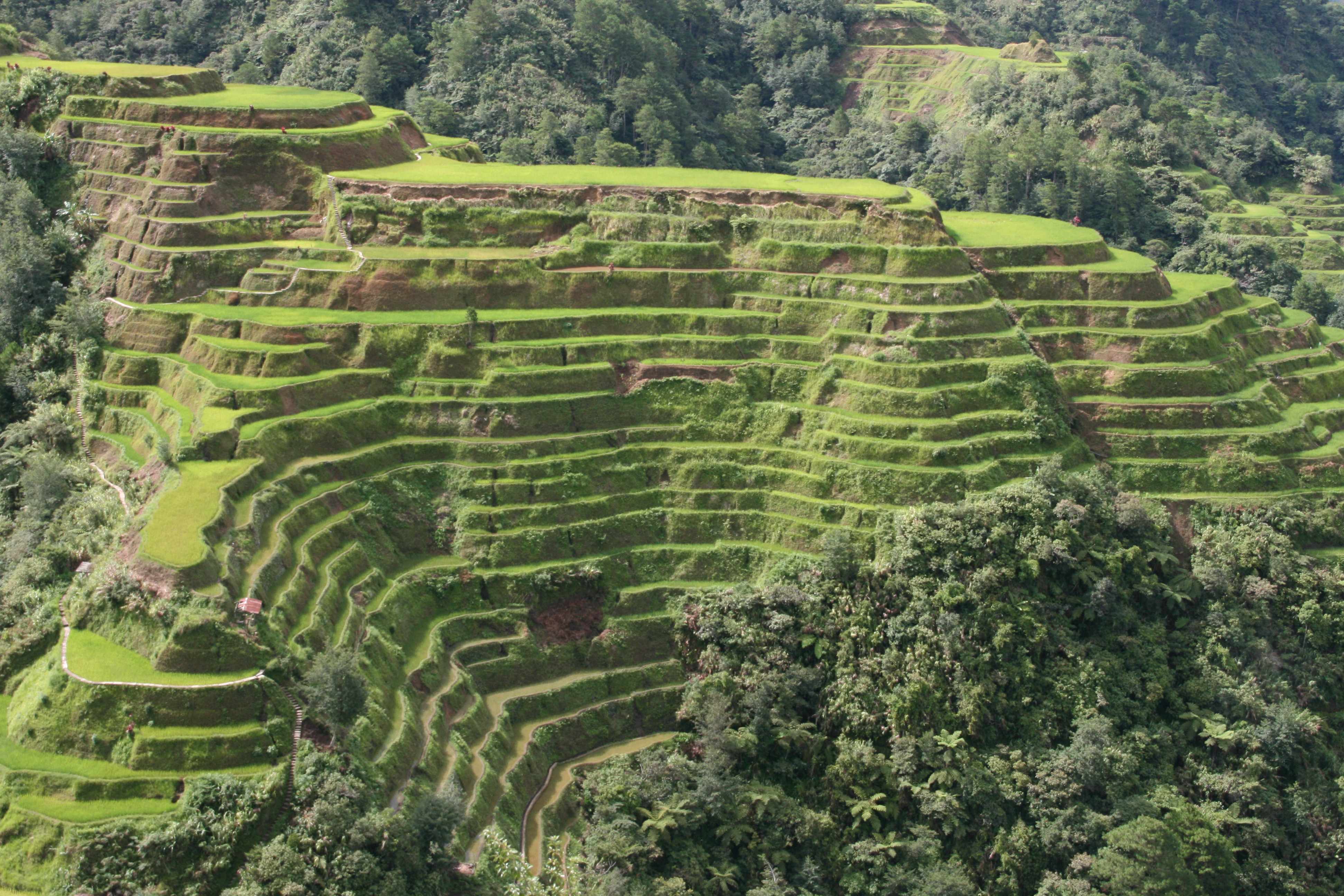 Stone-walled rice terraces of Banaue-Batad, Ifugao